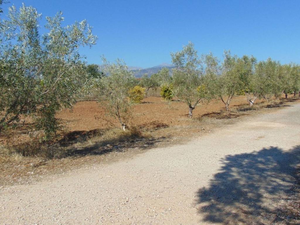 detached house in suburb of Nafplio