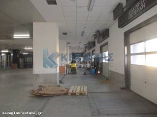 ΕΣΩΤΕΡΙΚΗ ΛΗΨΗ