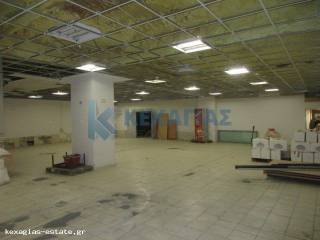 ΕΣΩΤΕΡΙΚΗ ΛΗΨΗ