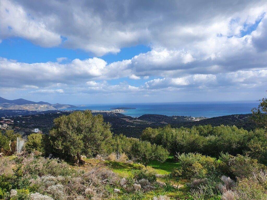 1 - Προς πώληση 2 οικόπεδα με συνολικό εμβαδόν 4.