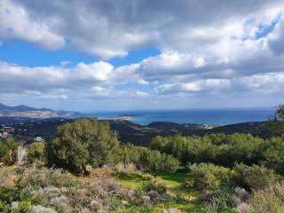 1 - Προς πώληση 2 οικόπεδα με συνολικό εμβαδόν 4.