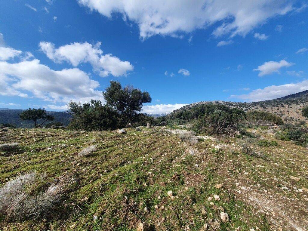 2 - Προς πώληση 2 οικόπεδα με συνολικό εμβαδόν 4.