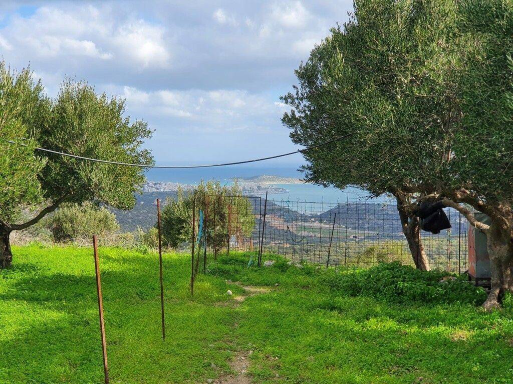 7 - Προς πώληση 2 οικόπεδα με συνολικό εμβαδόν 4.