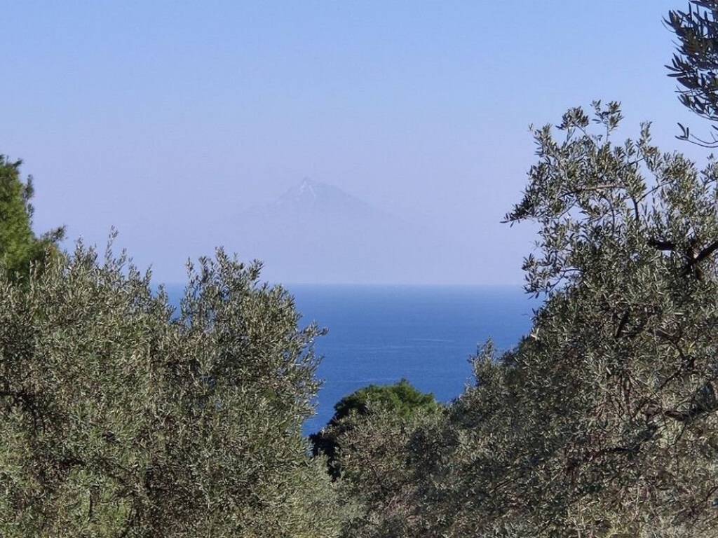 1 - Πωλείται γή έκτασης 9000 τμ. στη Σιθωνία.