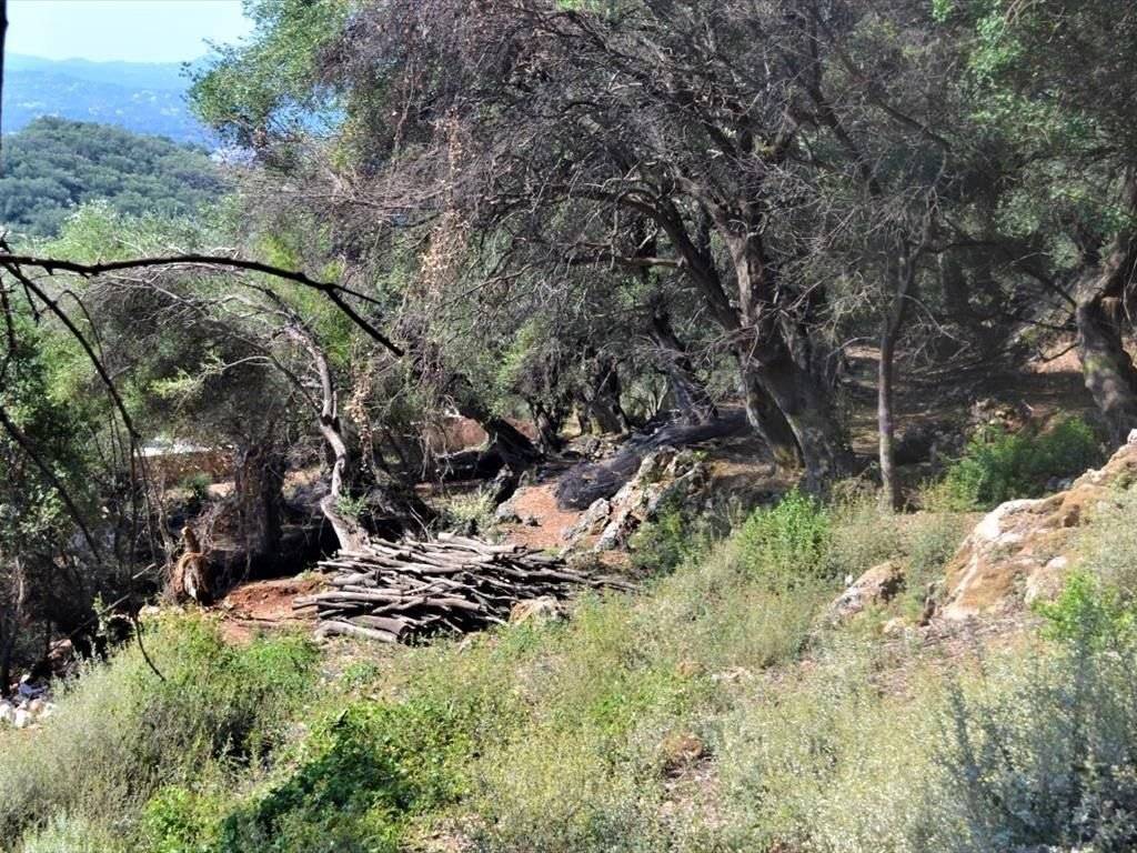 5 - Πωλείται γή έκτασης 2500 τμ. στην Κέρκυρα.