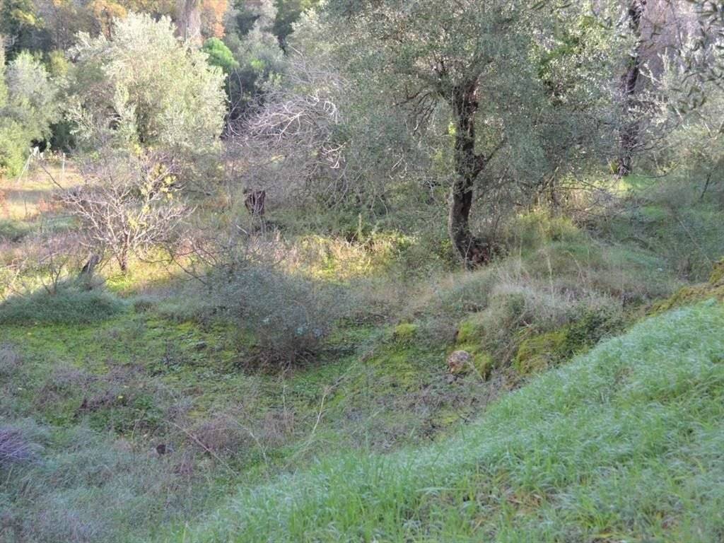 4 - Προς πώληση οικόπεδο 5,5 στρ στο χωριό Άγιοι Δέκα στο κέ.