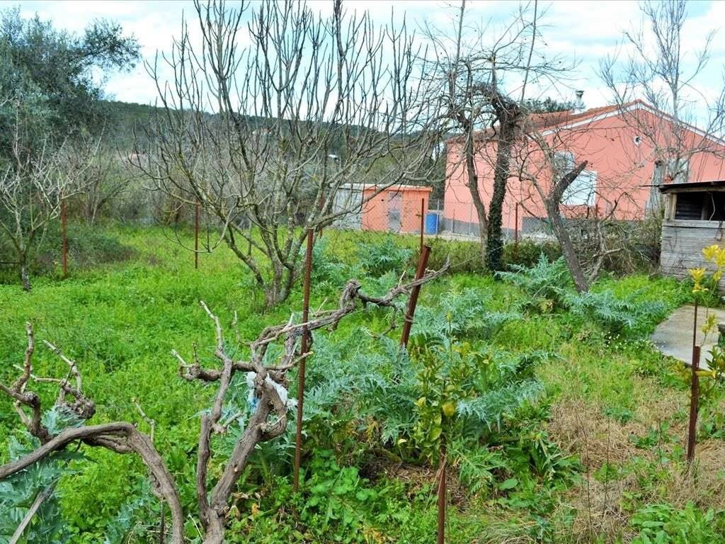 25 - Πωλείται 1-ορόφου μονοκατοικία έκτασης 220 τμ στην Κέρκ.