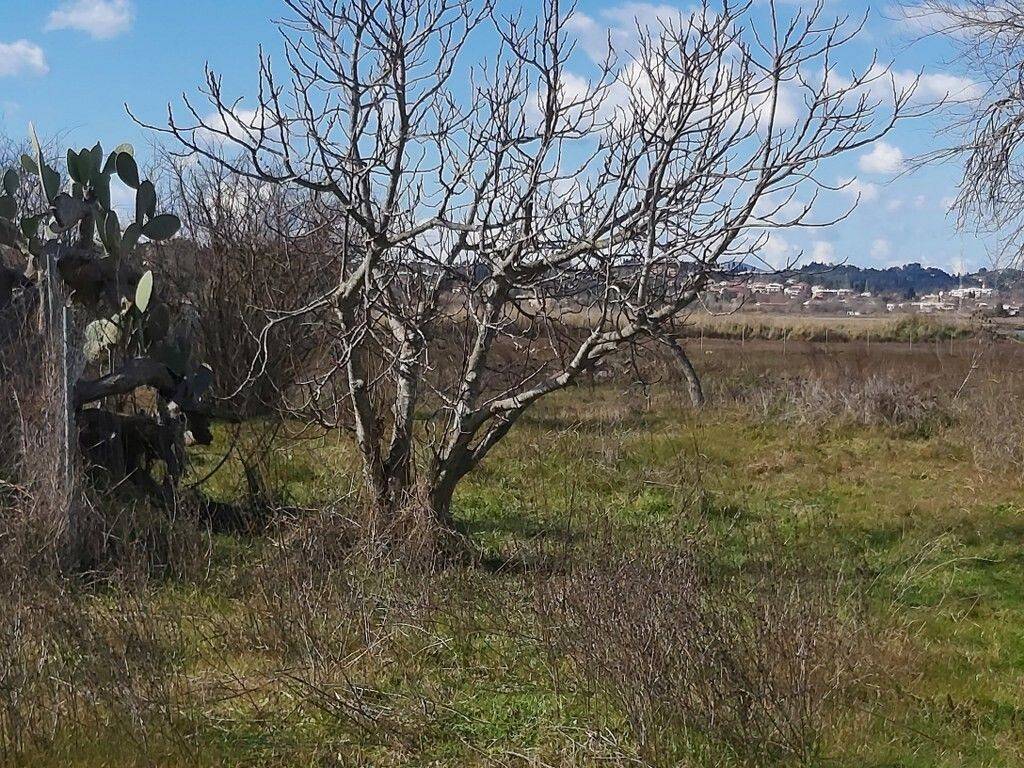 20 - Πωλείται 1-όροφη μονοκατοικία έκτασης 58 τμ στην Κέρκυρ.