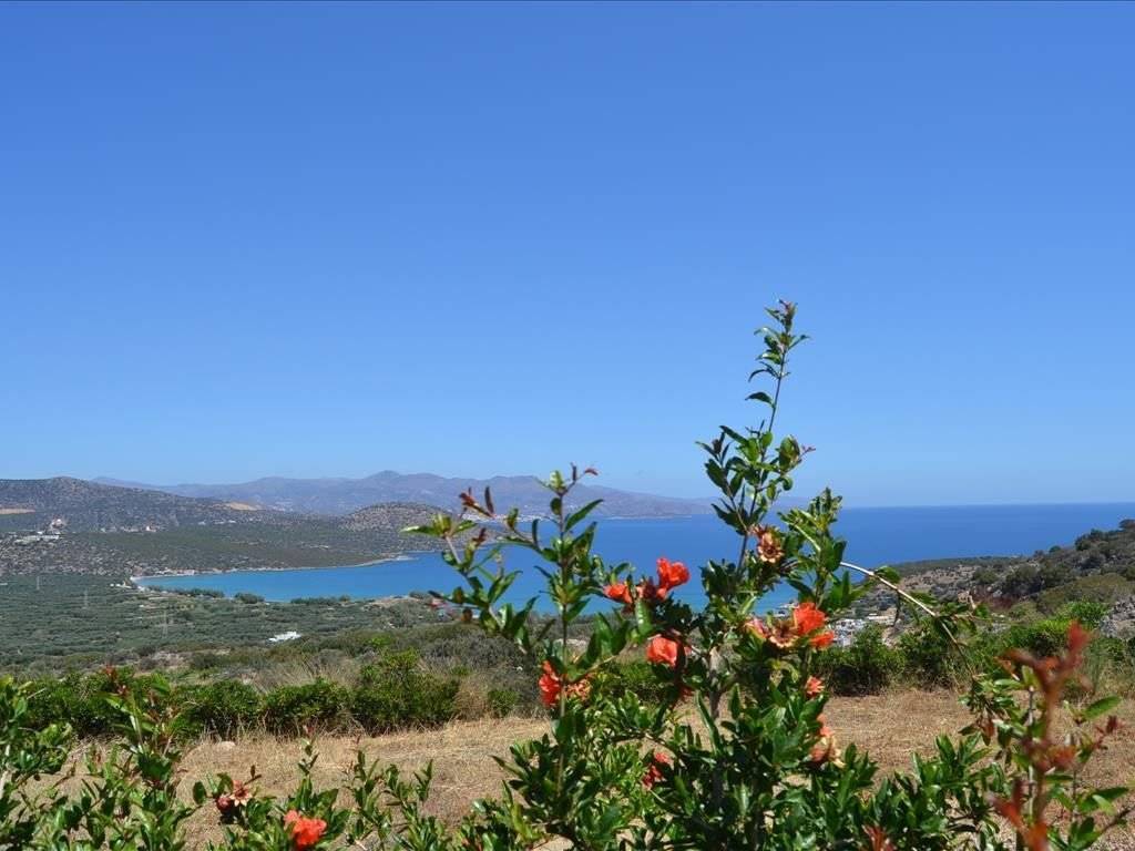 10 - Πωλείται 1-όροφη μονοκατοικία έκτασης 82 τμ στην Κρήτη.