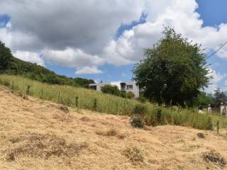 ΑΠΟΨΗ ΟΙΚΟΠΕΔΟΥ