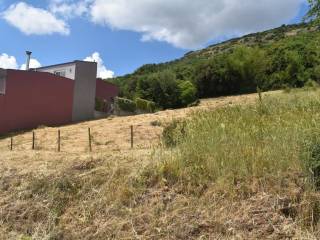 ΑΠΟΨΗ ΟΙΚΟΠΕΔΟΥ