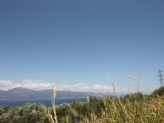 Αγροτεμάχιο