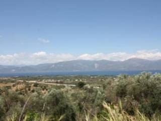 Αγροτεμάχιο