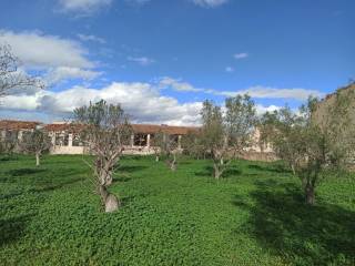 ΤΜΗΜΑ ΤΟΥ ΑΓΡΟΤΕΜΑΧΙΟΥ