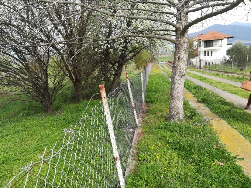 ΠΛΑΙΝΗ ΜΕΡΙΑ ΑΓΡΟΤΕΜΑΧΙΟΥ