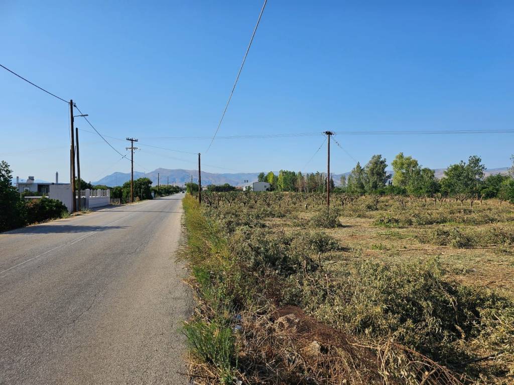 buildable plot of land for sale with area of 000 sq.m.