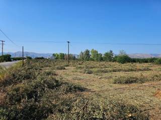 buildable plot of land for sale with area of 000 sq.m.