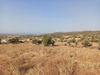 ΜΟΝΑΔΙΚΗ ΚΑΙ ΑΝΕΜΠΟΔΙΣΤΗ ΘΕΑ ΣΤΗ ΘΑΛΑΣΣΑ