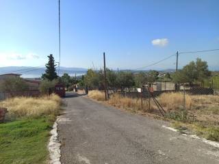 PROSOPSE 18 m. SE DROMO PLATOYS 8 m.