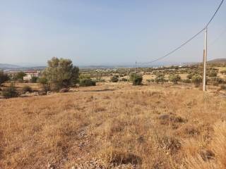 ΤΜΗΜΑ ΤΟΥ ΑΓΡΟΤΕΜΑΧΙΟΥ