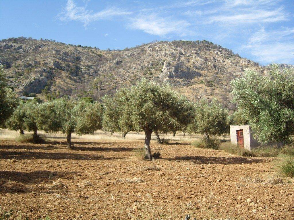 ΤΜΗΜΑ ΤΟΥ ΑΓΡΟΤΕΜΑΧΙΟΥ