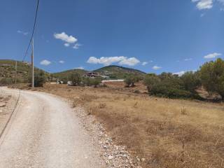 ΠΡΟΣΟΨΗ 190 μ. ΣΕ ΧΩΜΑΤΟΔΡΟΜΟ