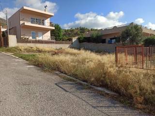 PROSOPSE 18 m. SE DROMO PLATOYS 8 m.