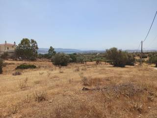 ΤΜΗΜΑ ΤΟΥ ΑΓΡΟΤΕΜΑΧΙΟΥ