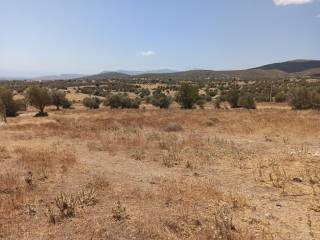 ΤΜΗΜΑ ΤΟΥ ΑΓΡΟΤΕΜΑΧΙΟΥ