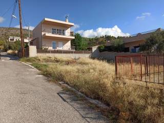 PROSOPSE 18 m. SE DROMO PLATOYS 8 m.