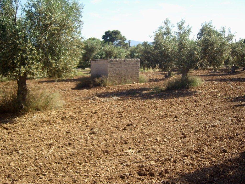 ΤΜΗΜΑ ΤΟΥ ΑΓΡΟΤΕΜΑΧΙΟΥ