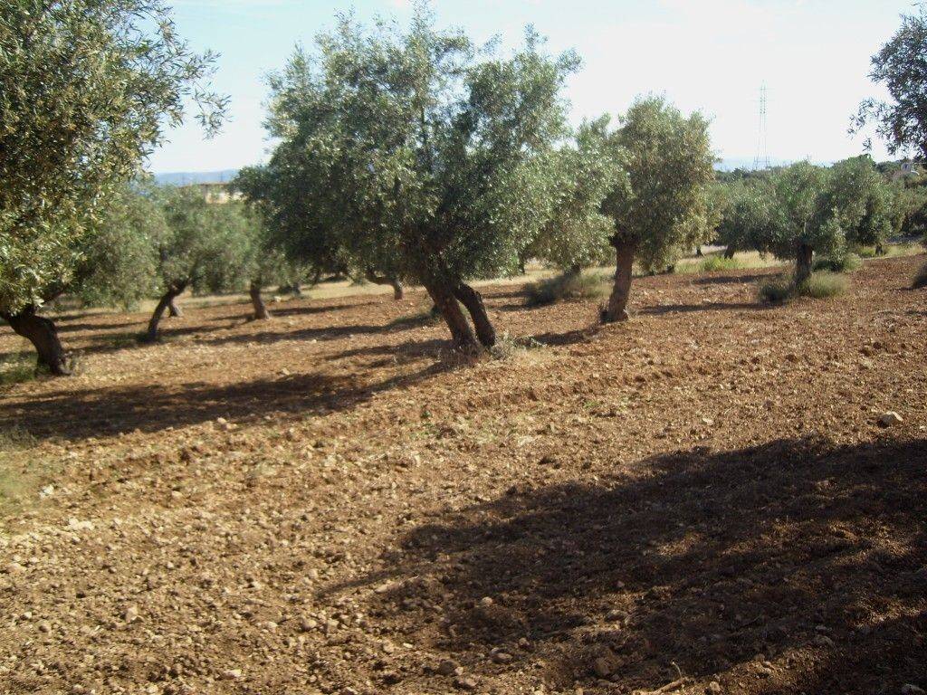 ΤΜΗΜΑ ΤΟΥ ΑΓΡΟΤΕΜΑΧΙΟΥ