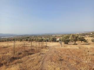 ΤΜΗΜΑ ΤΟΥ ΑΓΡΟΤΕΜΑΧΙΟΥ