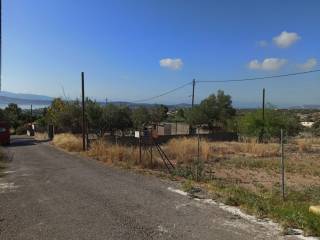 PROSOPSE 18 m. SE DROMO PLATOYS 8 m.