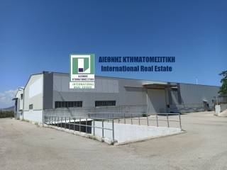 ΒΟΡΕΙΑ ΚΑΙ ΑΝΑΤΟΛΙΚΗ ΟΨΗ ΤΟΥ ΚΤΗΡΙΟΥ