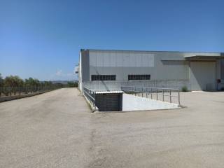 ΤΜΗΜΑ ΤΟΥ ΠΕΡΙΒΑΛΛΟΝΤΟΣ ΧΩΡΟΥ