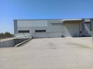 ΤΜΗΜΑ ΤΟΥ ΠΕΡΙΒΑΛΛΟΝΤΟΣ ΧΩΡΟΥ