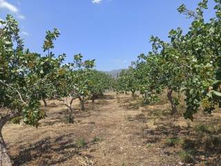 ΤΜΗΜΑ ΤΟΥ ΑΓΡΟΤΕΜΑΧΙΟΥ