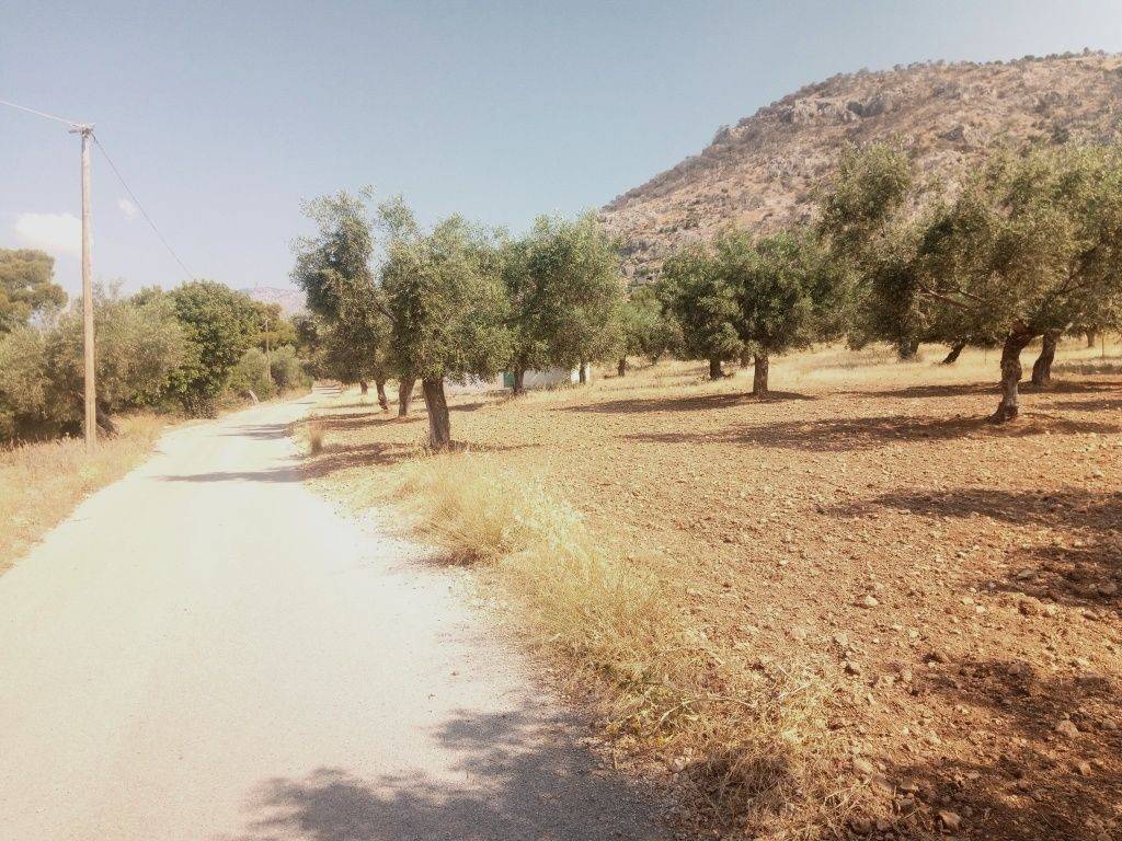 ΠΡΟΣΟΨΗ 30 μ. ΣΕ ΑΣΦΑΛΤΟΣΤΡΩΜΕΝΗ ΟΔΟ