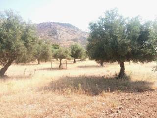 ΤΜΗΜΑ ΤΟΥ ΑΓΡΟΤΕΜΑΧΙΟΥ