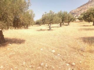 ΤΜΗΜΑ ΤΟΥ ΑΓΡΟΤΕΜΑΧΙΟΥ