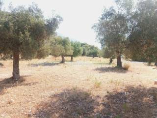 ΤΜΗΜΑ ΤΟΥ ΑΓΡΟΤΕΜΑΧΙΟΥ