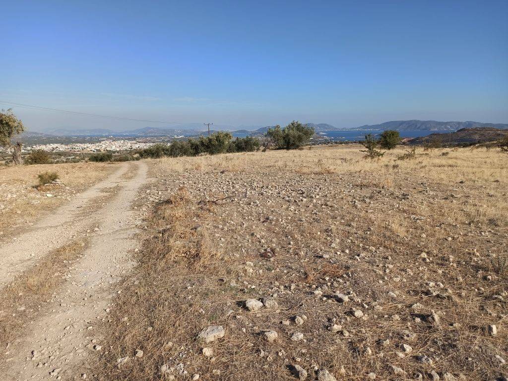 ΤΜΗΜΑ ΤΟΥ ΑΓΡΟΤΕΜΑΧΙΟΥ