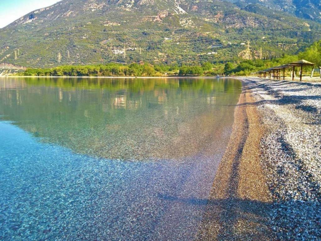 (ΠΑΡΑΛΙΑ ΣΕΡΓΟΥΛΑΣ) ΔΙΠΛΑ ΣΤΟΝ ΟΙΚΙΣΜΟ ΤΗΣ ΓΛΥΦΑΣ