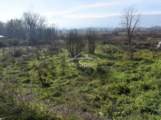 ΑΠΟΨΗ ΑΓΡΟΤΕΜΑΧΙΟΥ