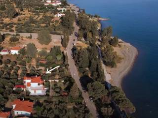 Η ΘΕΣΗ ΤΟΥ ΟΙΚΟΠΕΔΟΥ