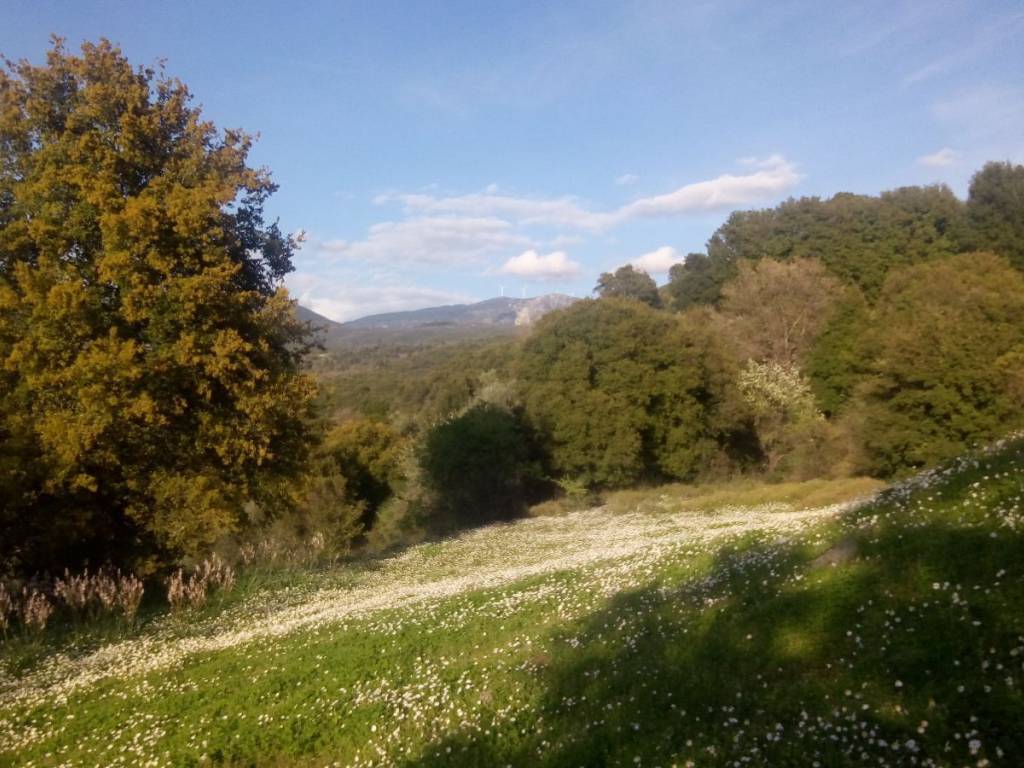 ΟΡΕΙΝΗ ΤΟΠΟΘΕΣΙΑ ΣΤΗΝ ΠΕΡΙΟΧΗ