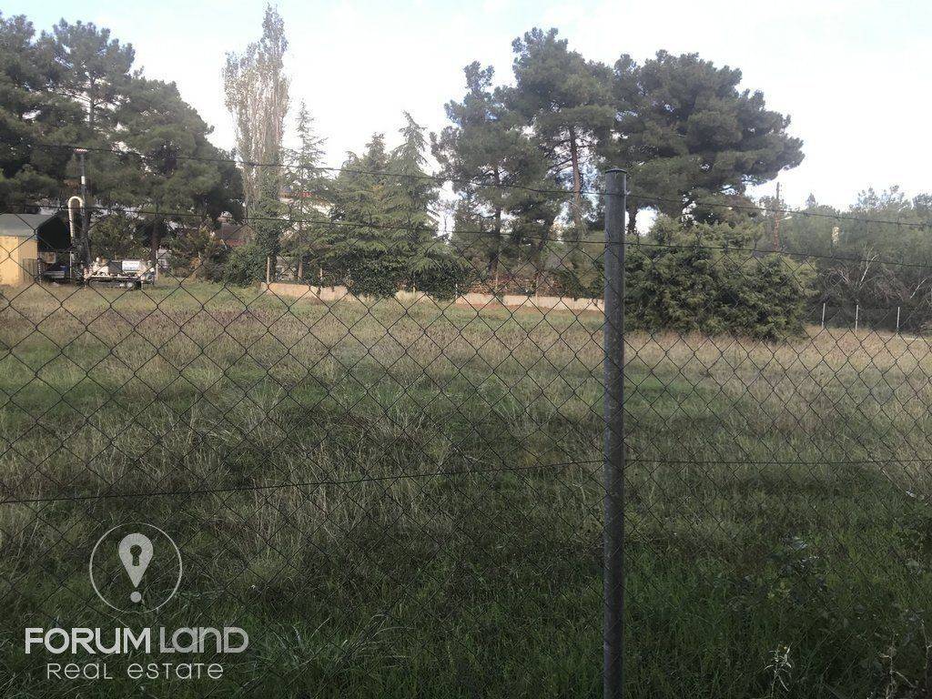 forumland Real Estate, 5.100τμ. αγροτεμάχιο