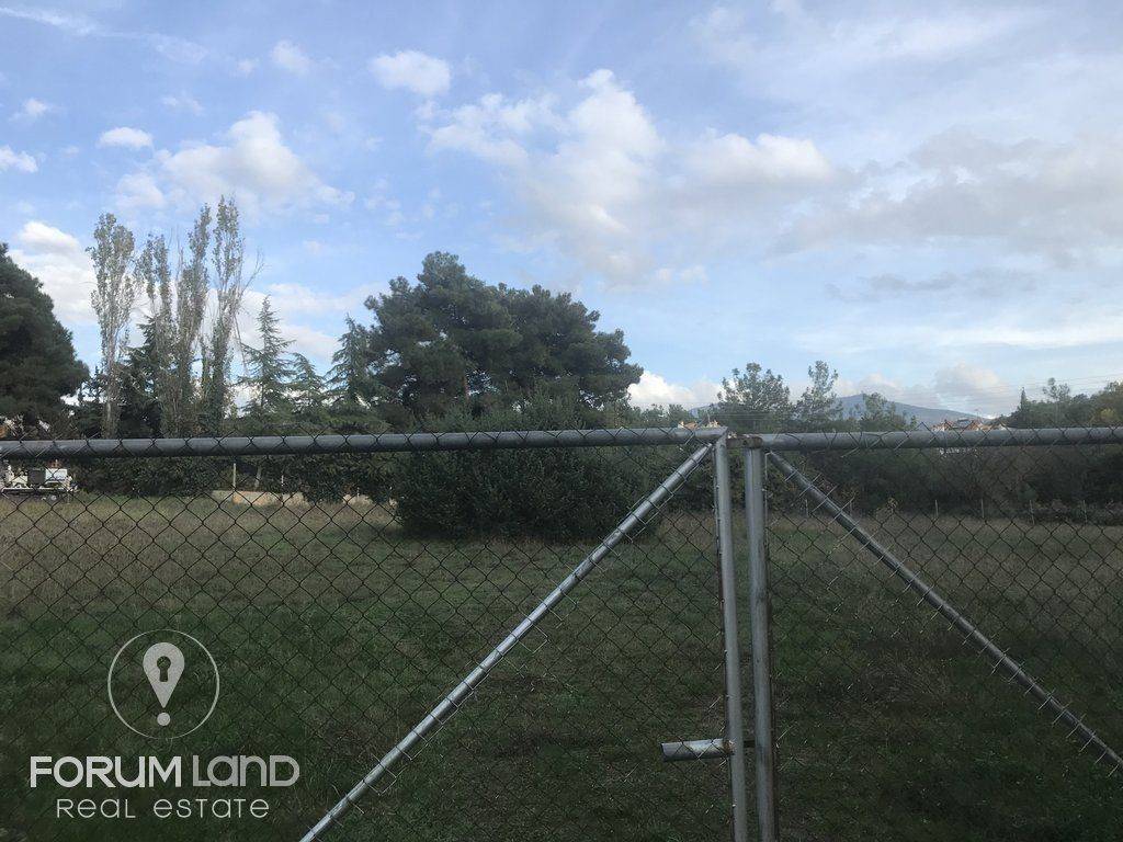 forumland Real Estate, 5.100τμ. αγροτεμάχιο