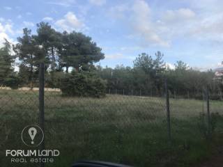 forumland Real Estate, 5.100τμ. αγροτεμάχιο